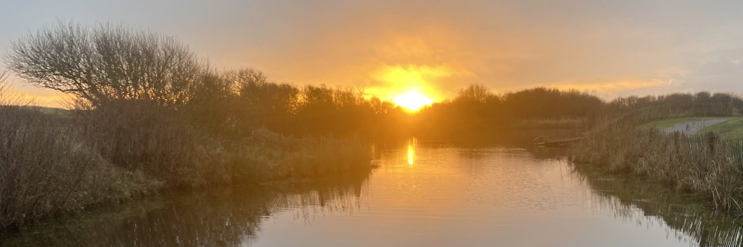 Simon Canizarez banner