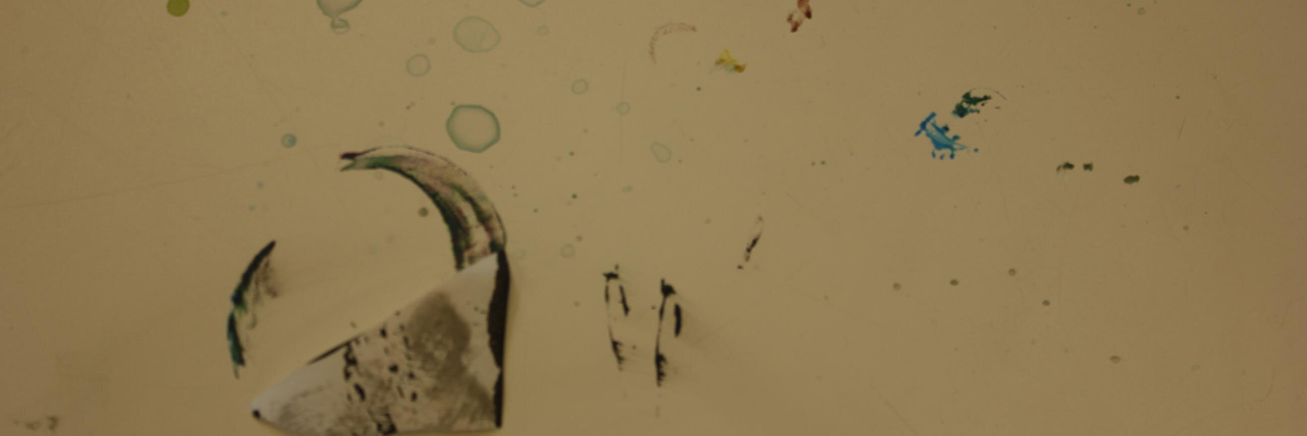 Logan banner