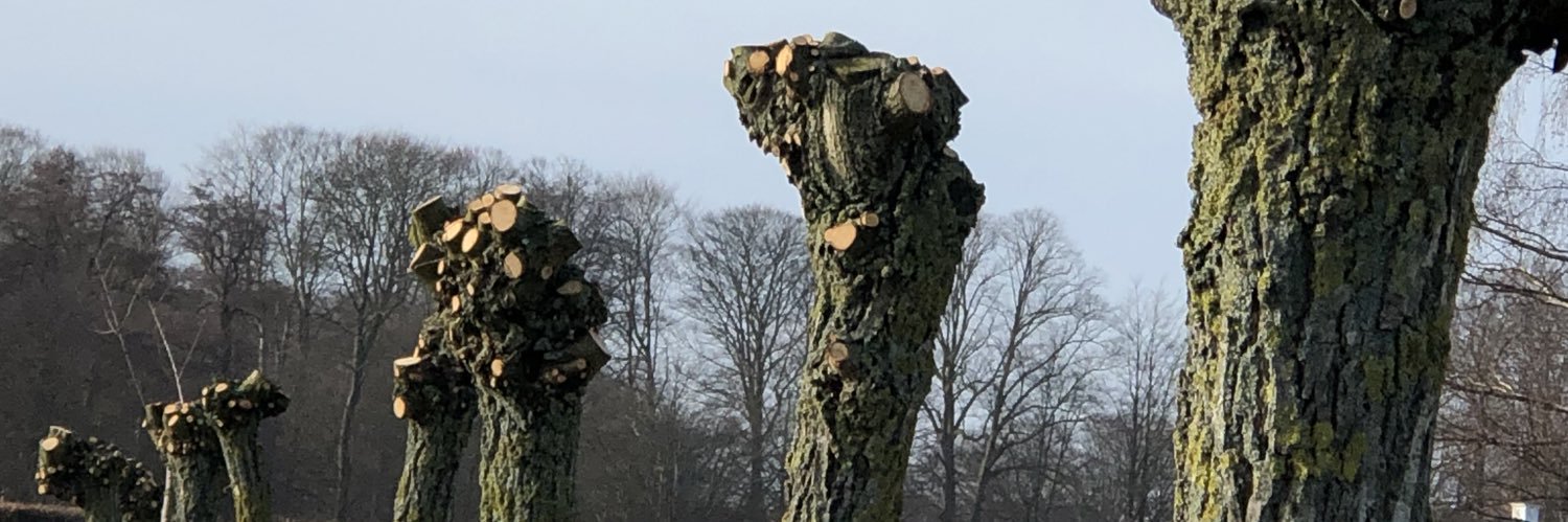 HansBergfast's profile banner image