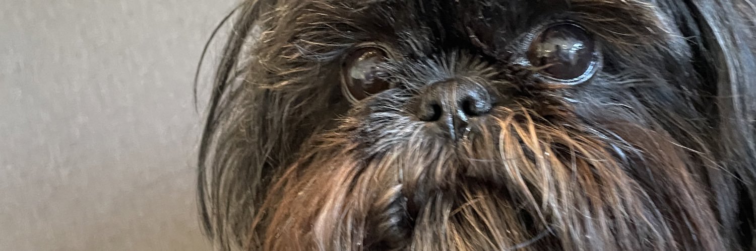 LinkPowell's profile banner image