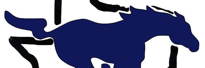 City View Athletics banner