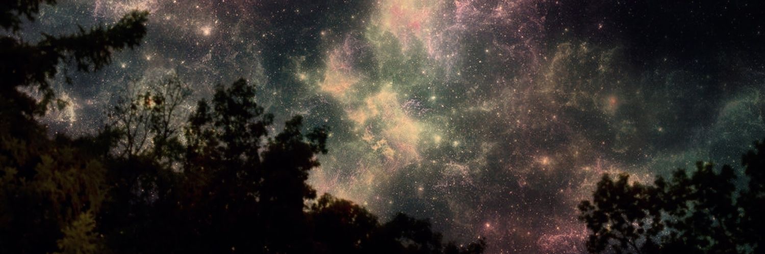 きなこもち＠お取引 banner