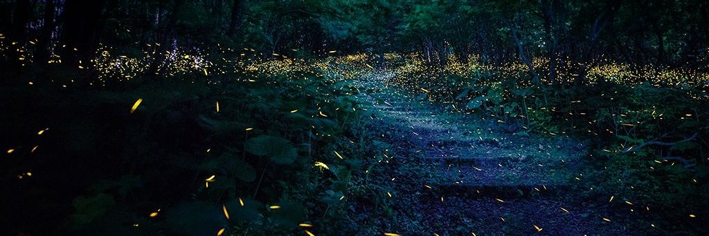 itumoegaode🌻 banner