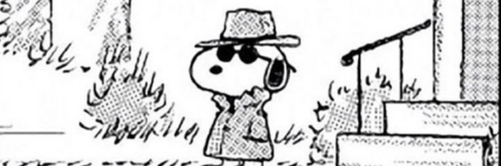 luiscastv's profile banner image