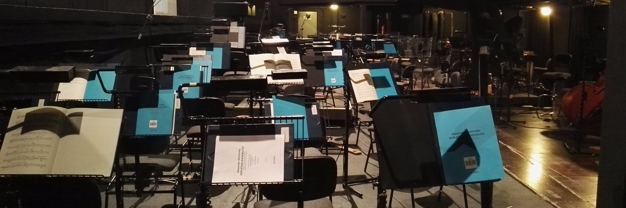 Pedro Halffter banner