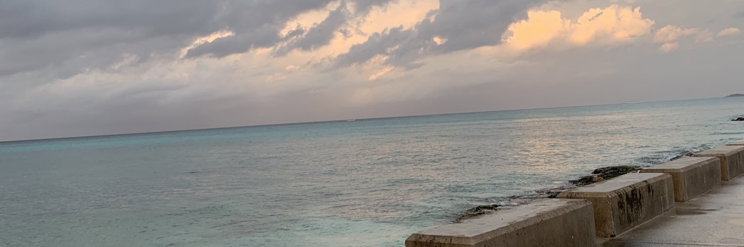rawr_shell's profile banner image