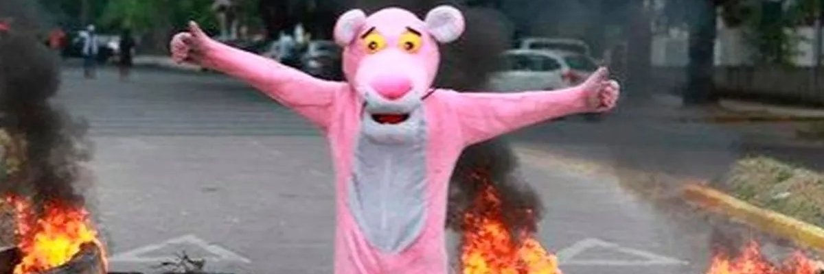 Jacob Elgordi banner