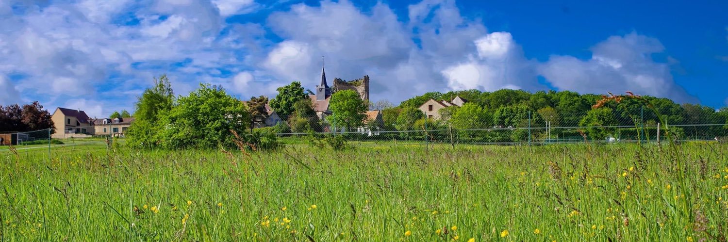 Grégory Garestier banner