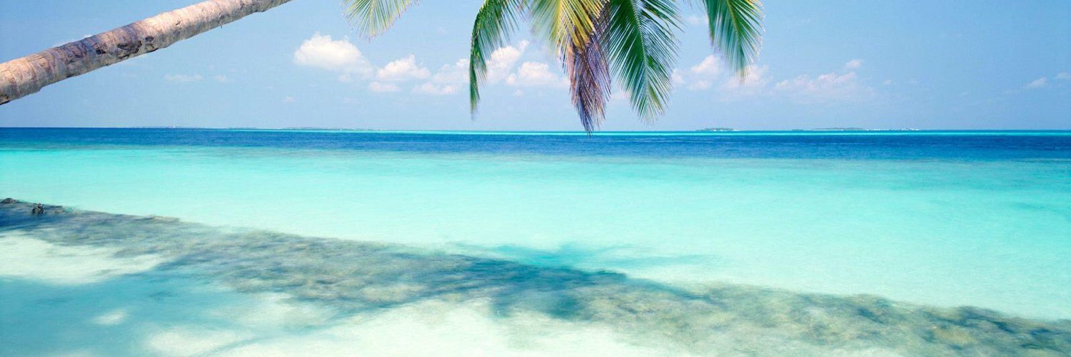 ellen_bockman's profile banner image