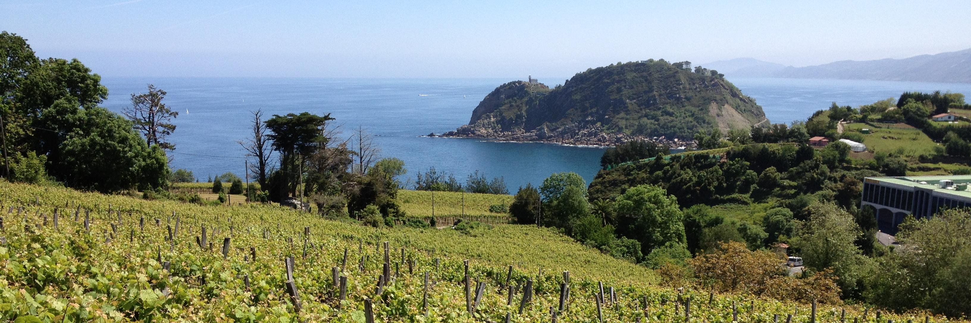 vinosconsolera's profile banner image