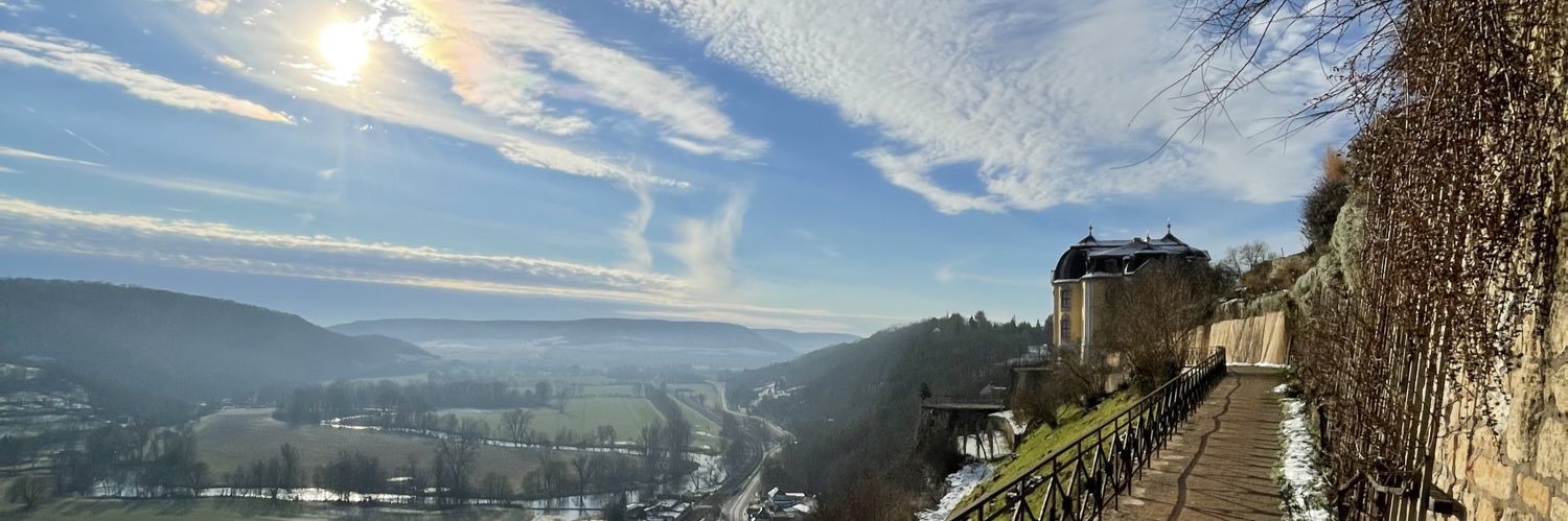 Leipziger_Leo 🦁 banner