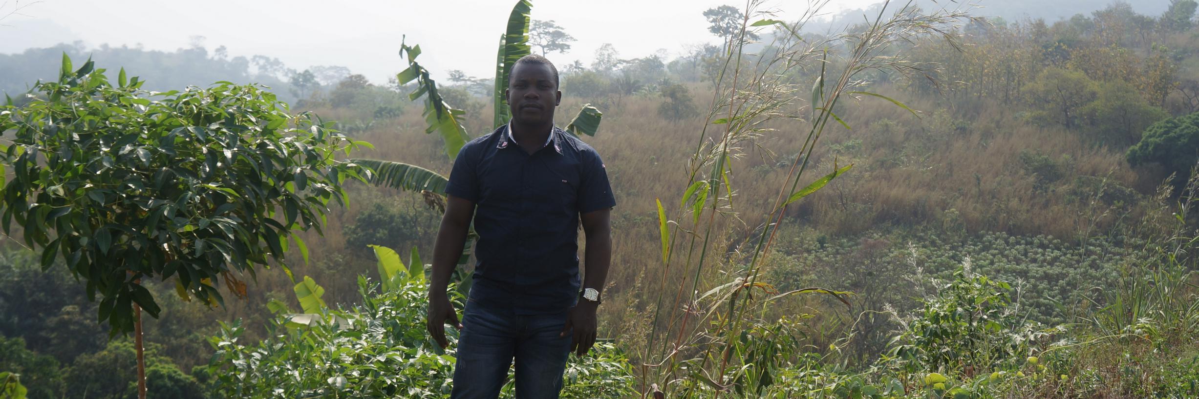LABOUFabrice's profile banner image