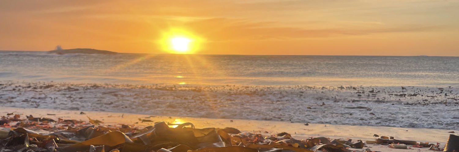ohmygod_sa's profile banner image