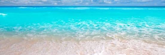 ConniePreciosa's profile banner image