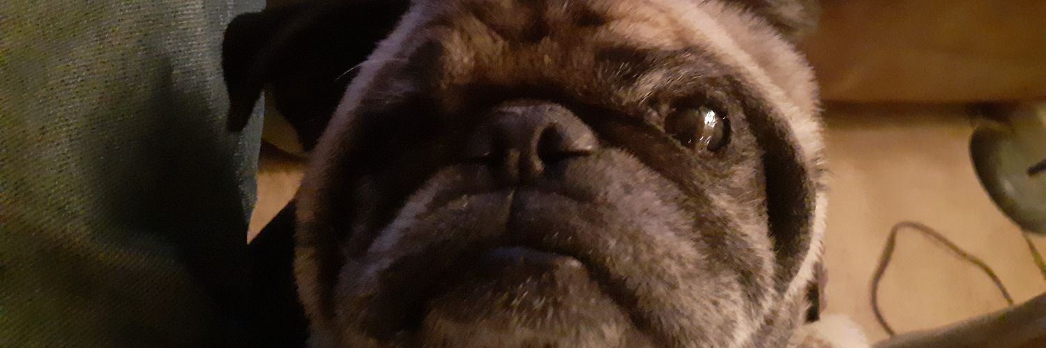 dork74's profile banner image