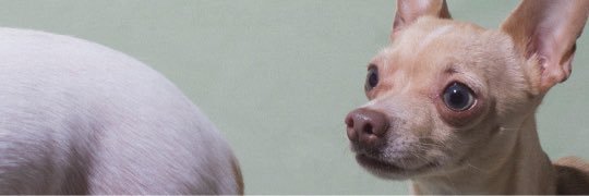 tooths_'s profile banner image