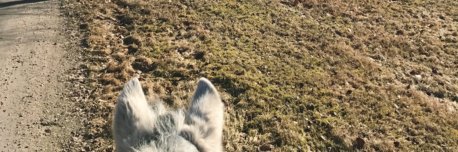 elinlofgren's profile banner image