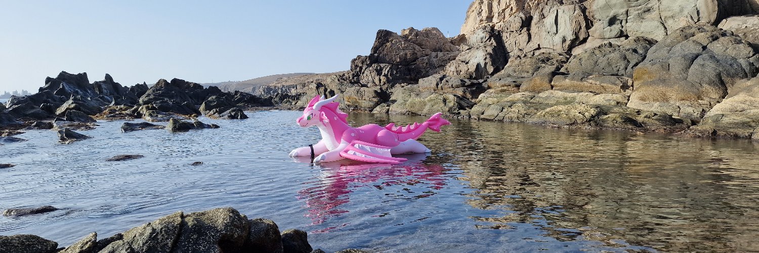 Pooltoy Adventures banner