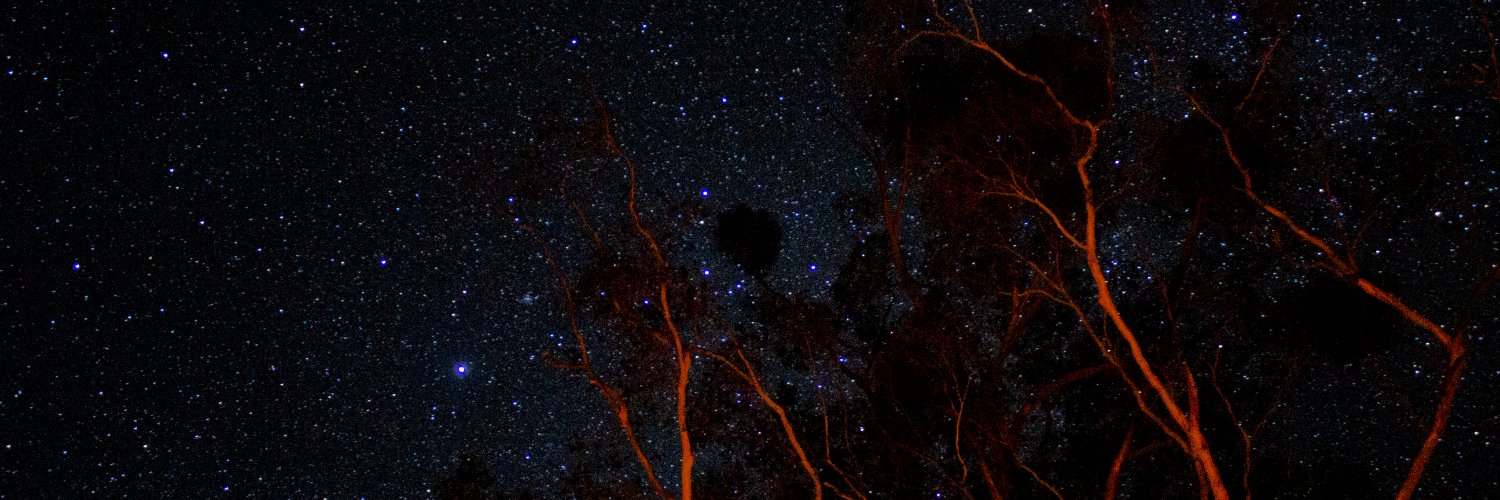 Dylan Polglaze banner