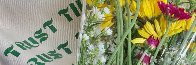 farahmy25's profile banner image