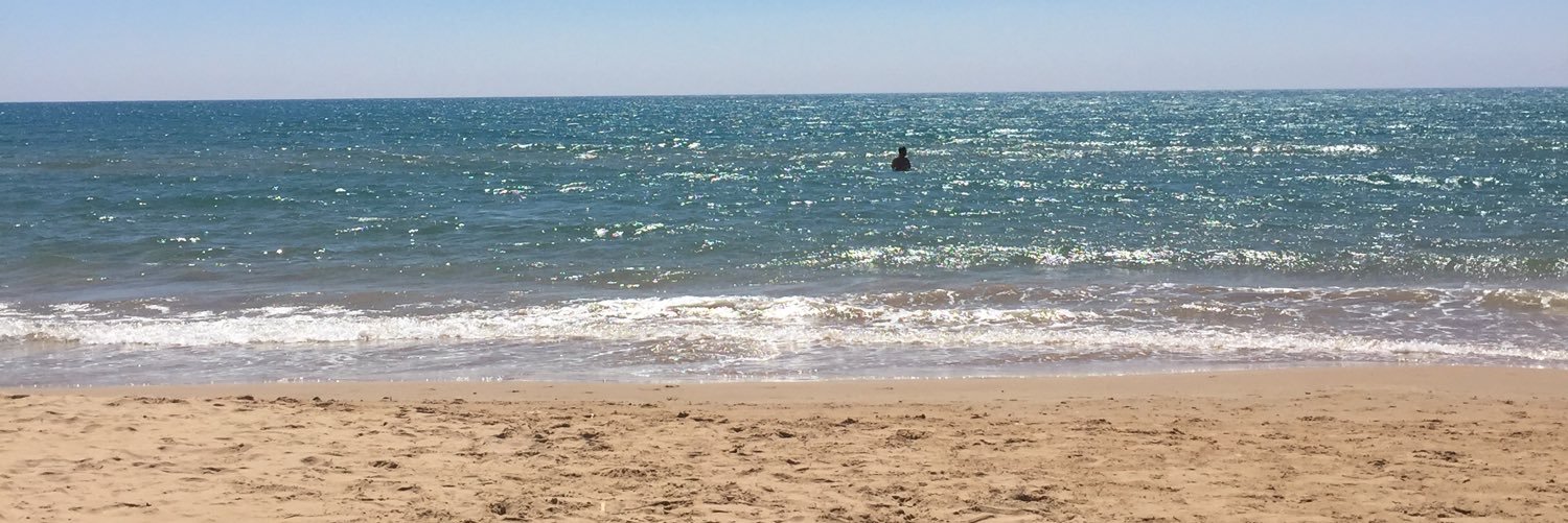 Dr Valerio Benedetto banner