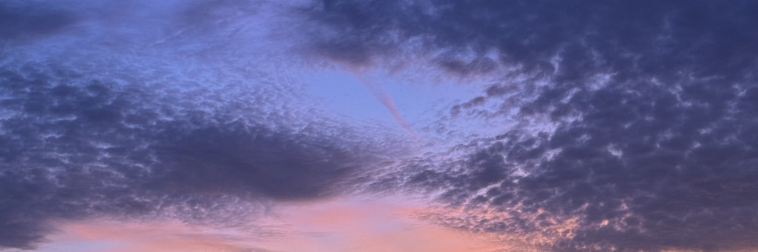 _Alekxs_'s profile banner image