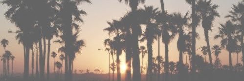 judiith_jimenez's profile banner image