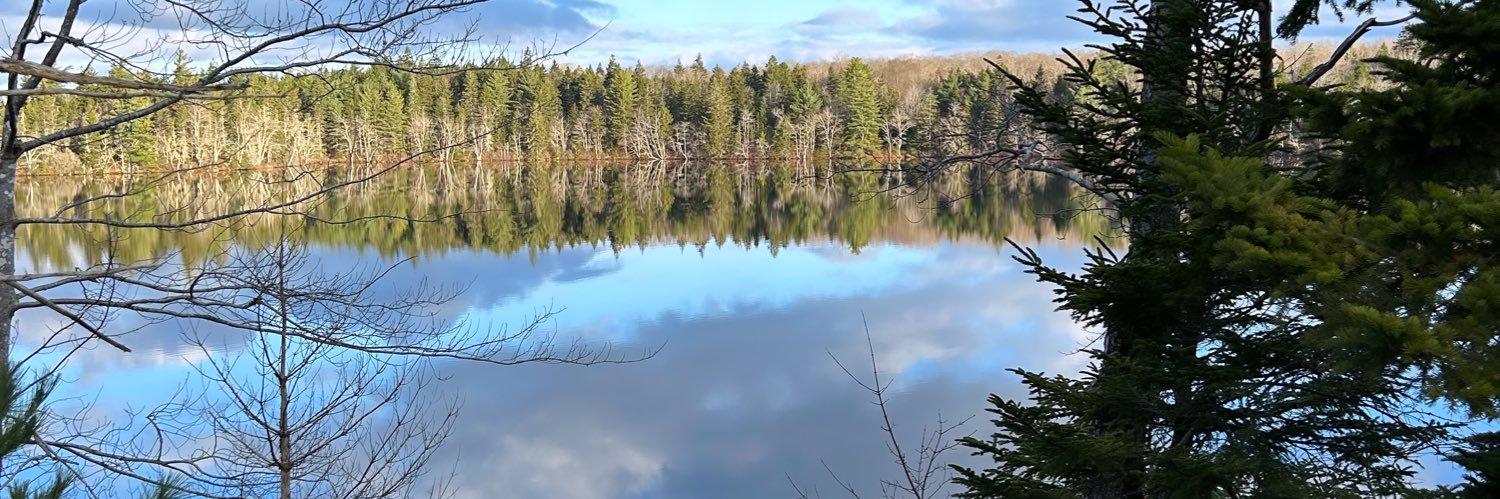 BillWhitakerWBW's profile banner image