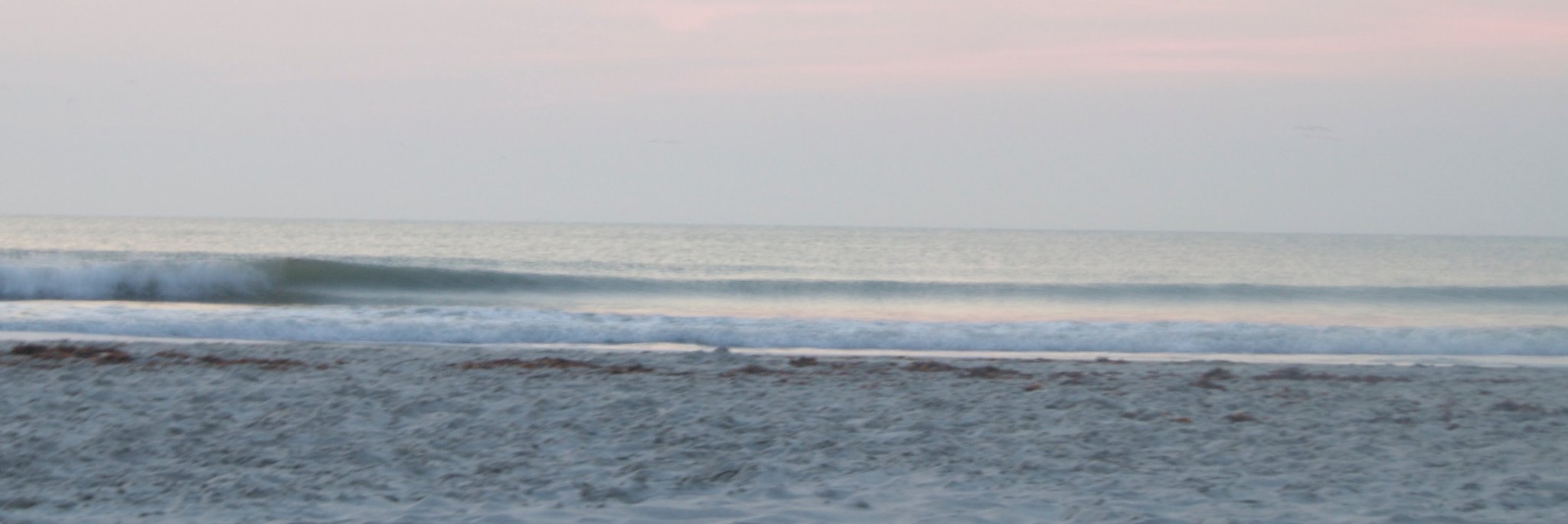 briannetuttle22's profile banner image