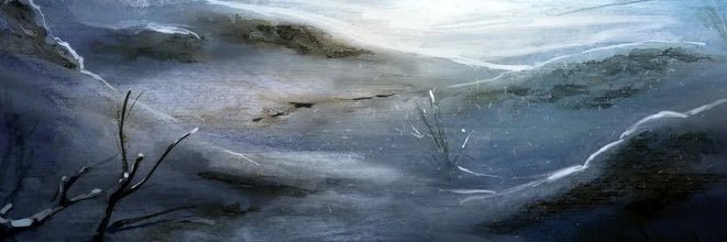 areej296's profile banner image