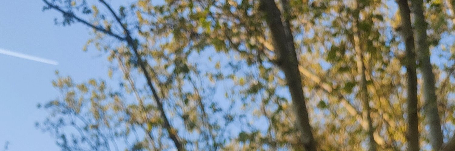alltooadolfo's profile banner image