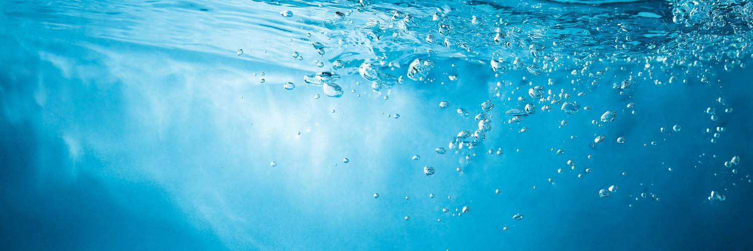 EBARA Pumps Americas Corporation banner