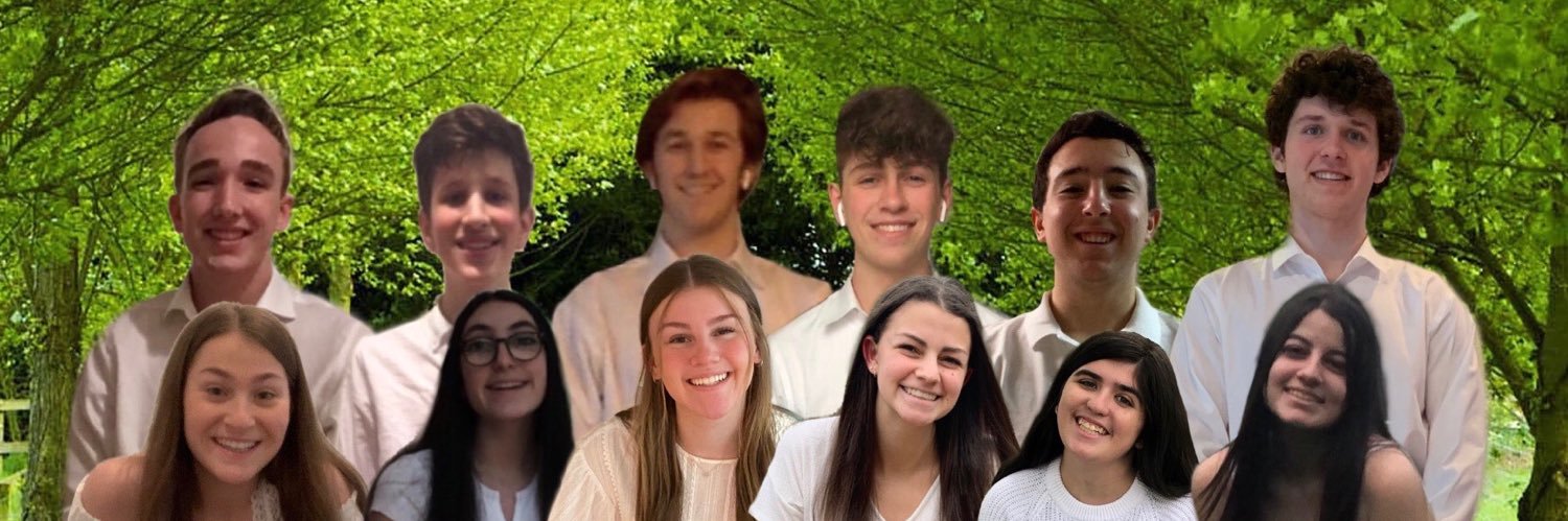 Maya Pollack banner