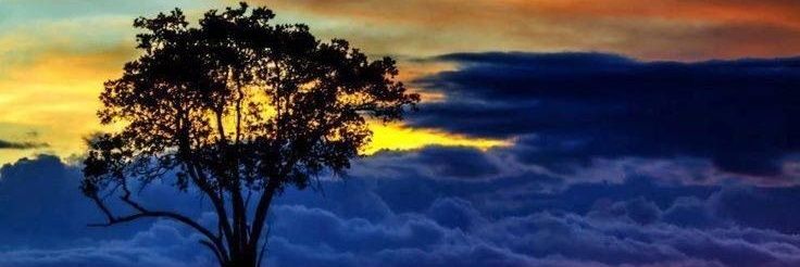 linamasil's profile banner image