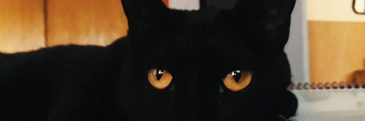 fbrz__'s profile banner image