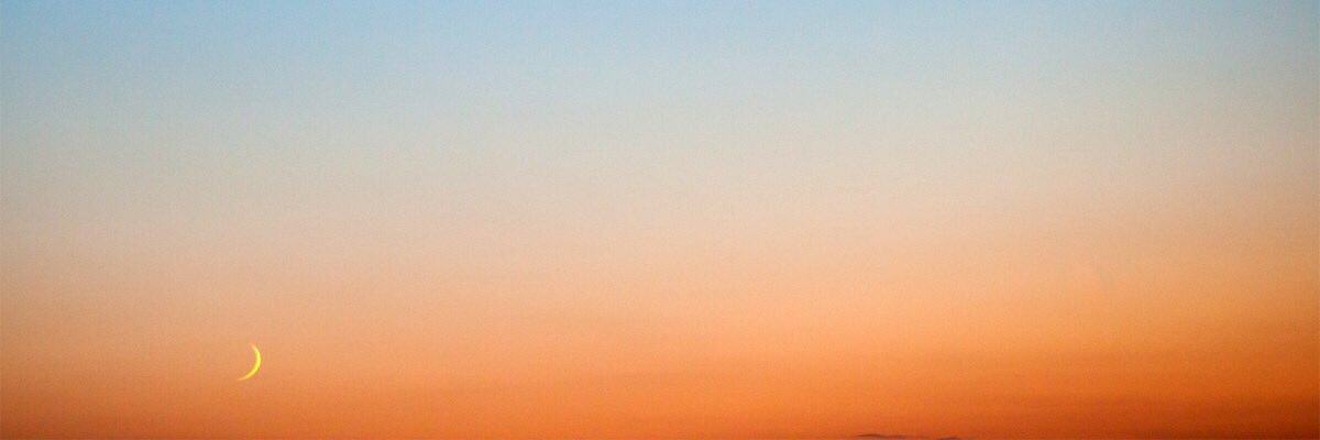AndrewHoeni_'s profile banner image
