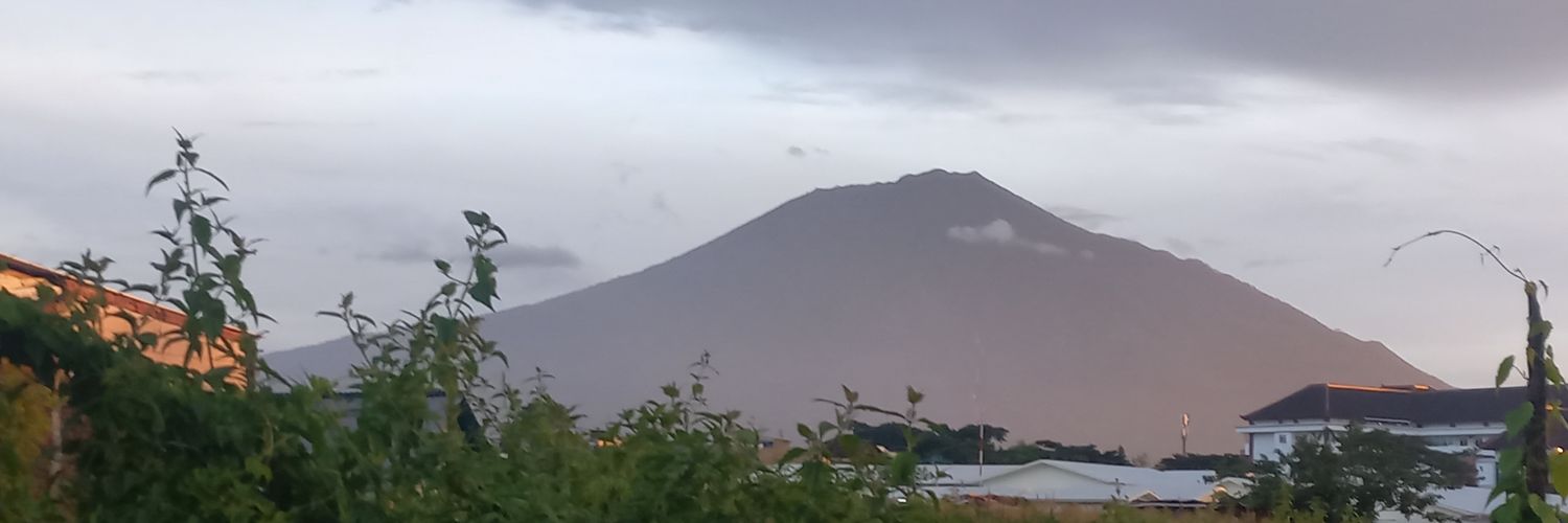 vrick1's profile banner image
