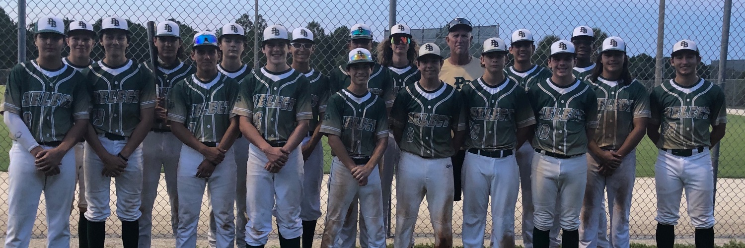 PB Select Baseball banner