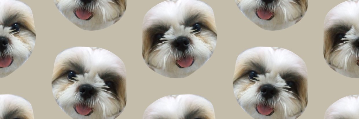 akuichaaa's profile banner image