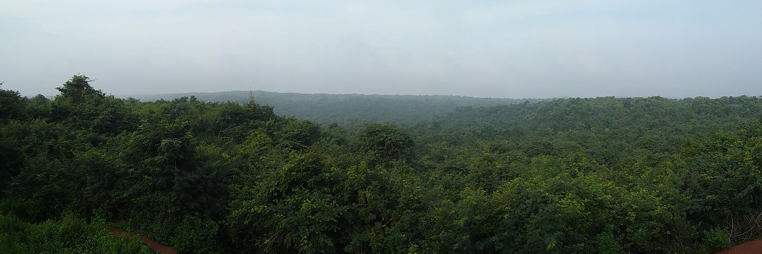 dvsprasad's profile banner image