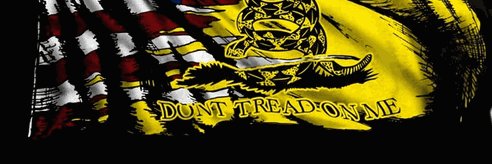 LevineOnLiberty's profile banner image