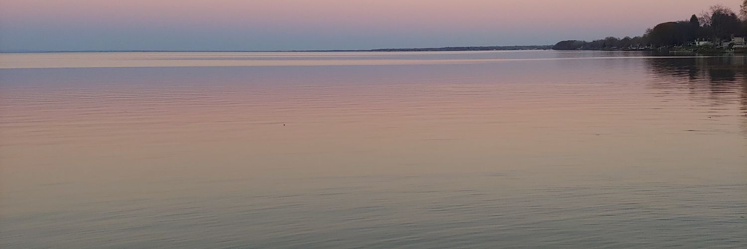 Elllomoto's profile banner image