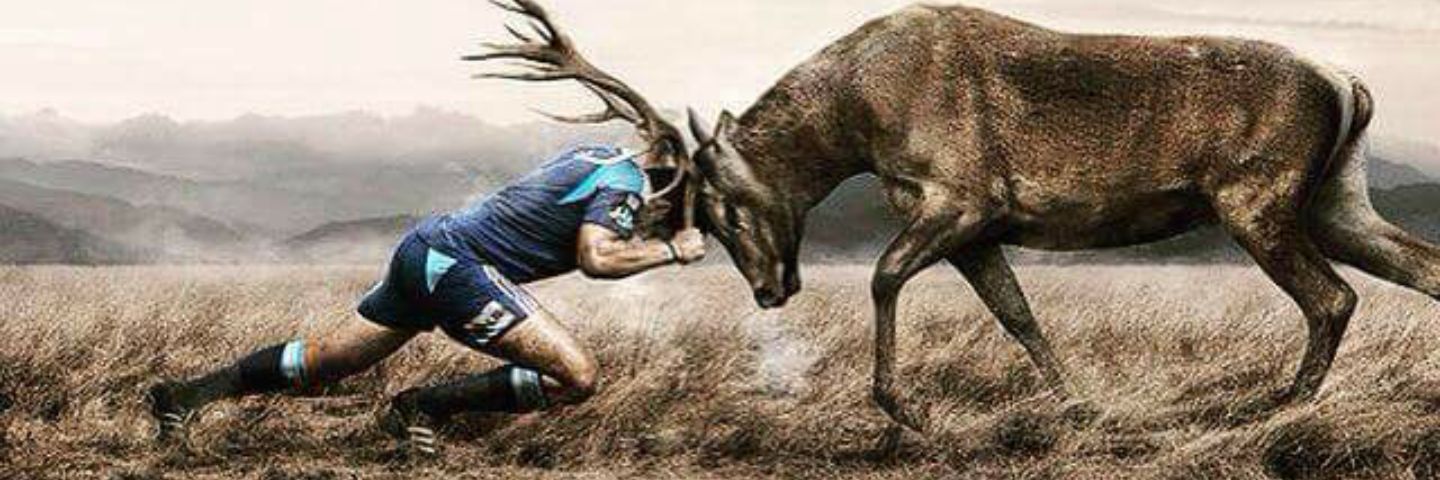 ajgoff4's profile banner image