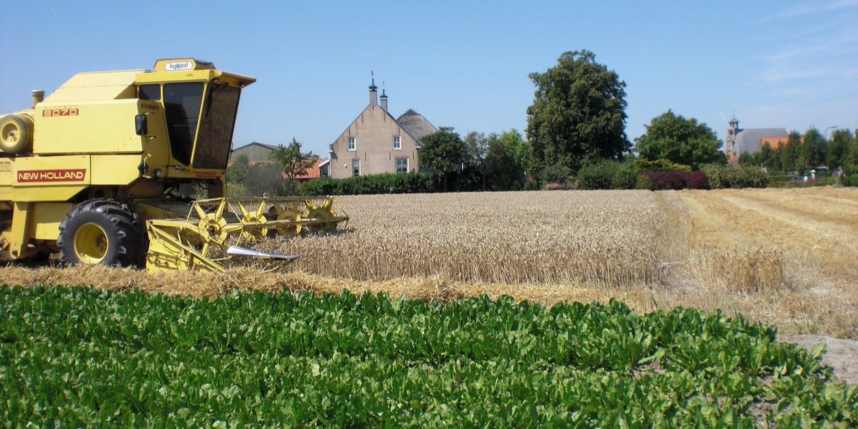 Daan Goense banner