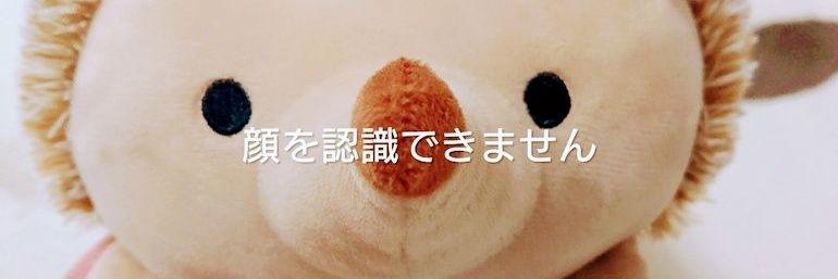 🍄🍄 banner