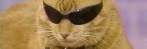 fluppypuffys's profile banner image