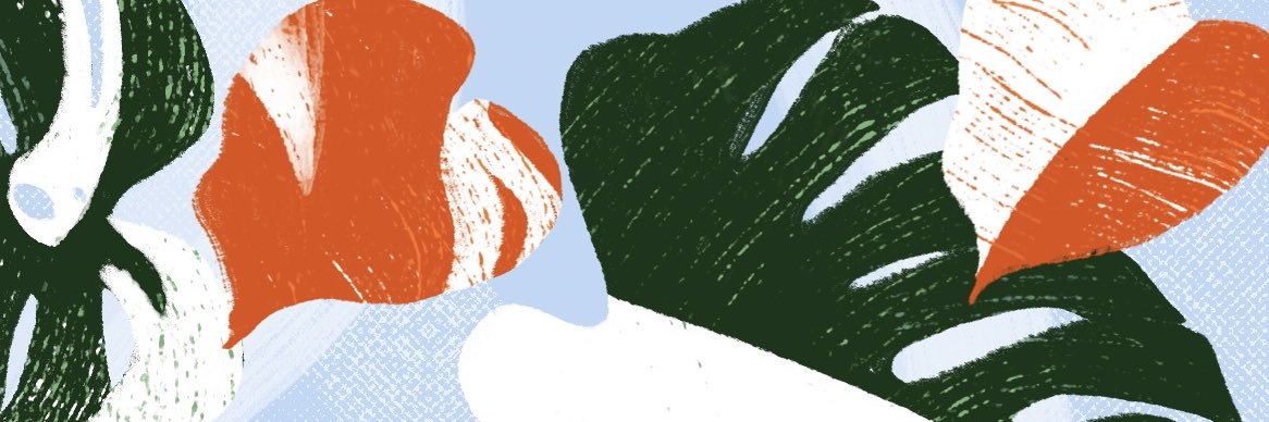 Bruna Veronese banner