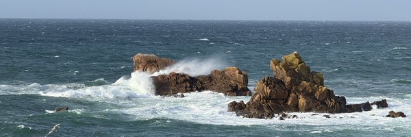 IFDiwall Profile Banner