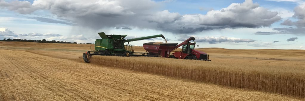 Stuart Person banner