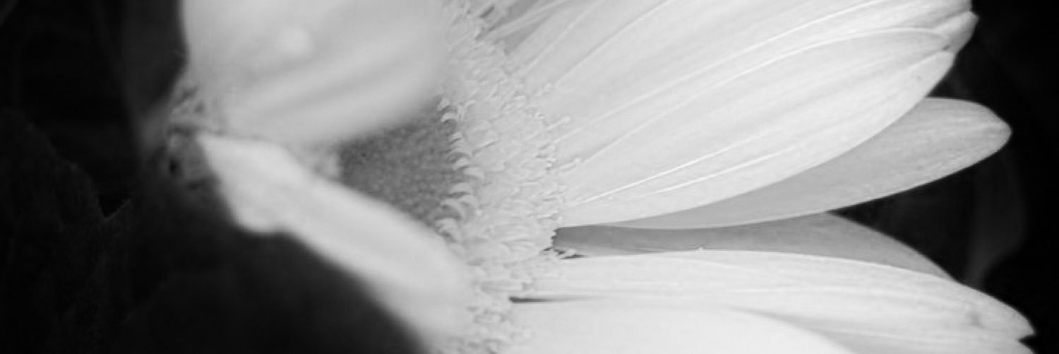 Angela banner